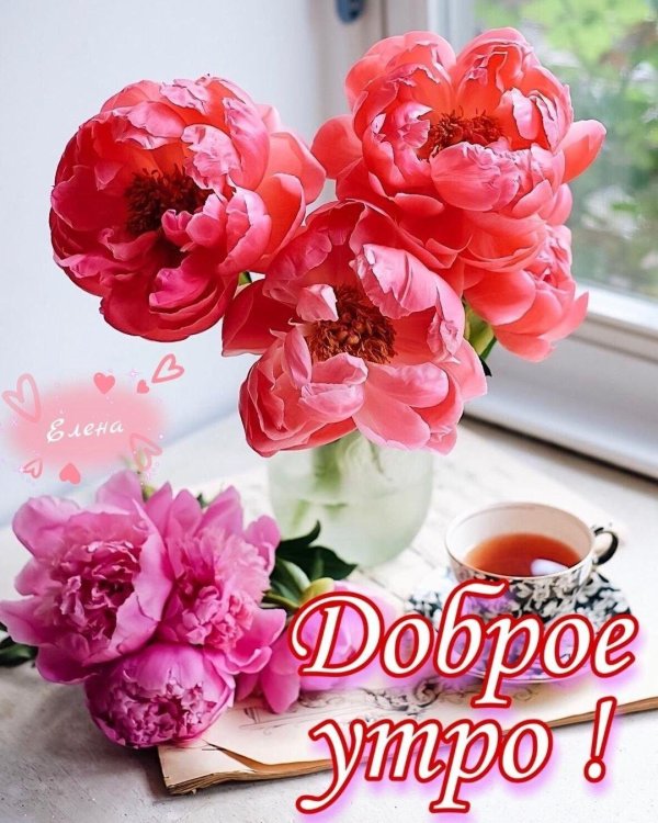 доброго утра с цветами