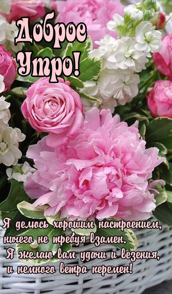 доброе утро цветочное