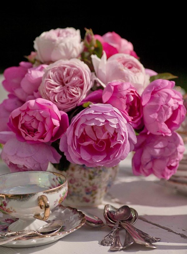 красивые цветы в чашке