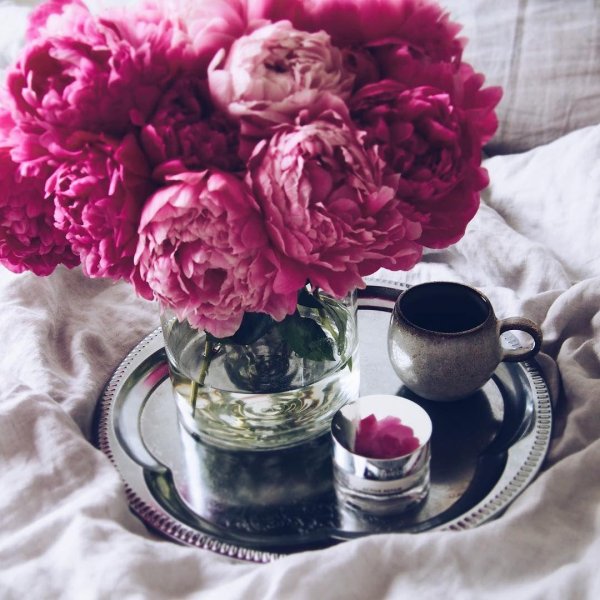 Пионы доброе утро