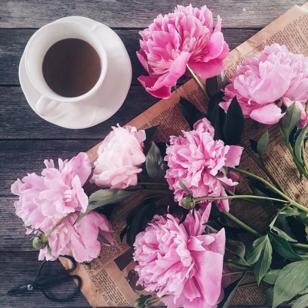 кофе и пионы