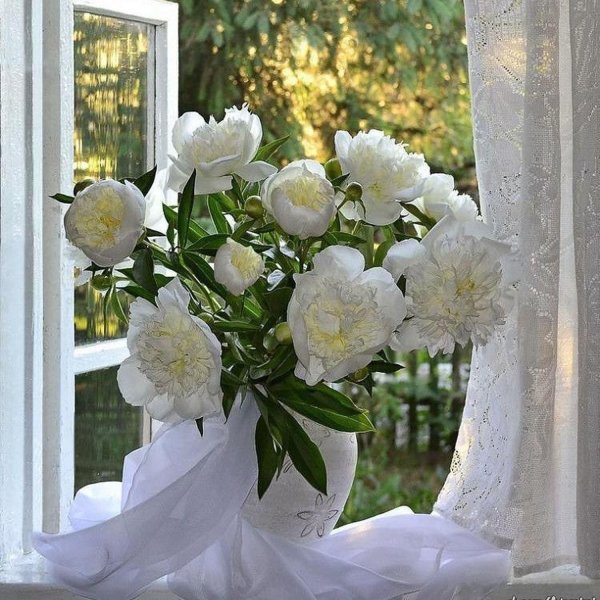 фотонатюрморты татьяны долженковой