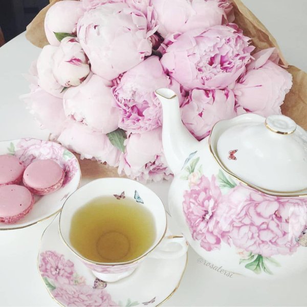 чайные пионы