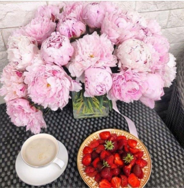 пионы с добрым утром