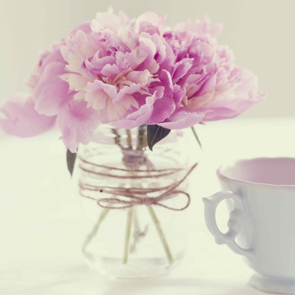 нежные цветы в вазе