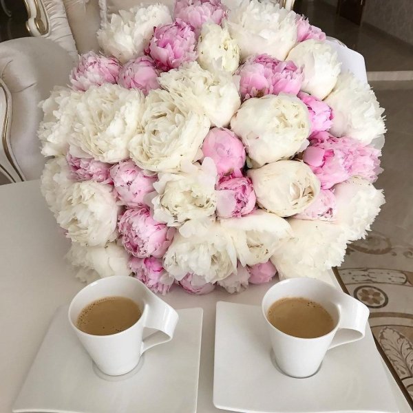 красивые букеты пионов