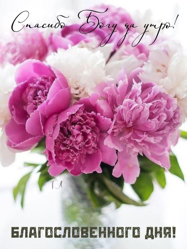 божиих благословений