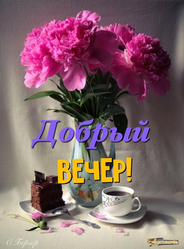 добр вечер
