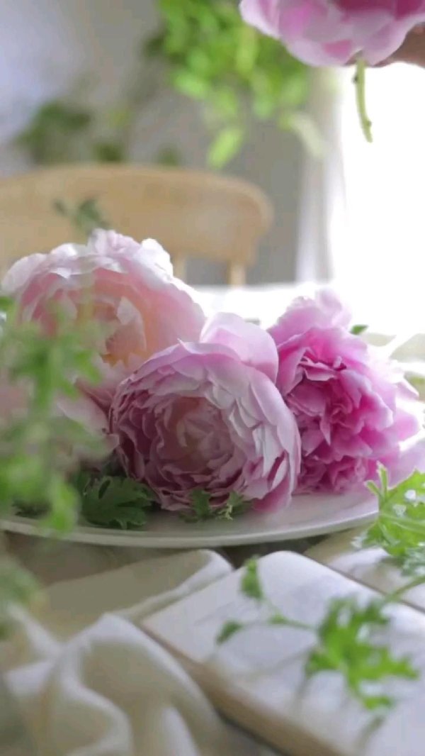 красивая цветок