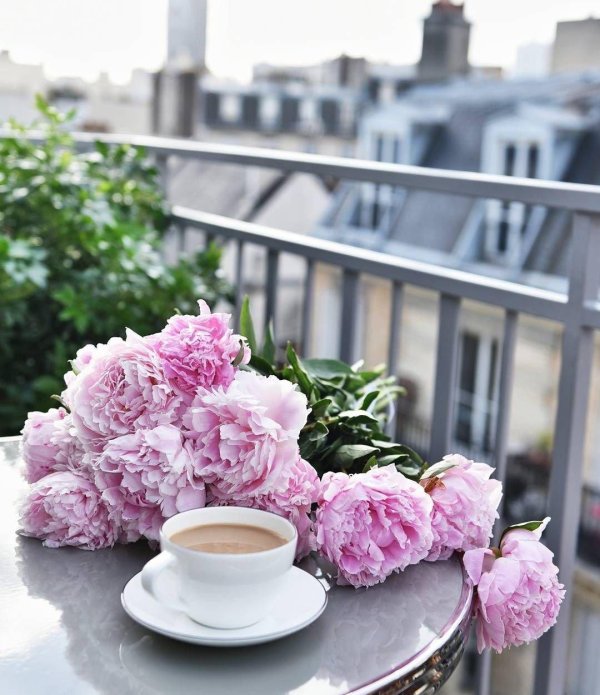 кофе и пионы