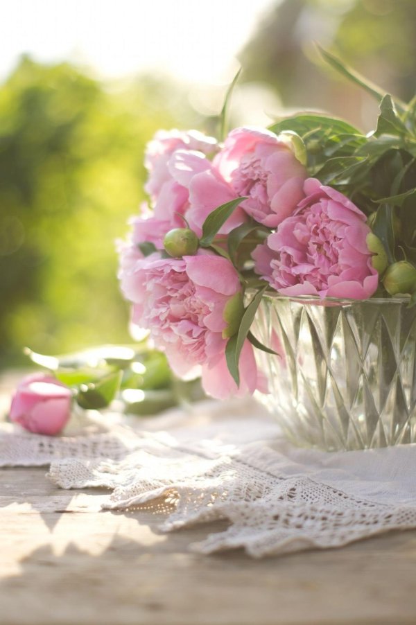 нежные цветочки