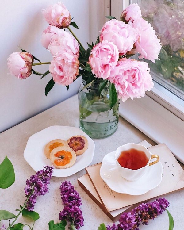 доброе утро прекрасного дня эстетика