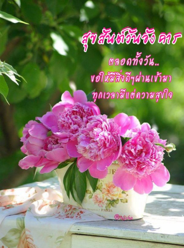 цветок пион