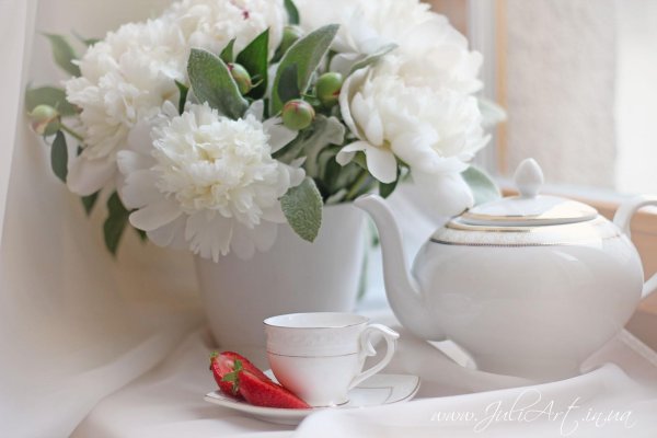 фотонатюрморты марины володько