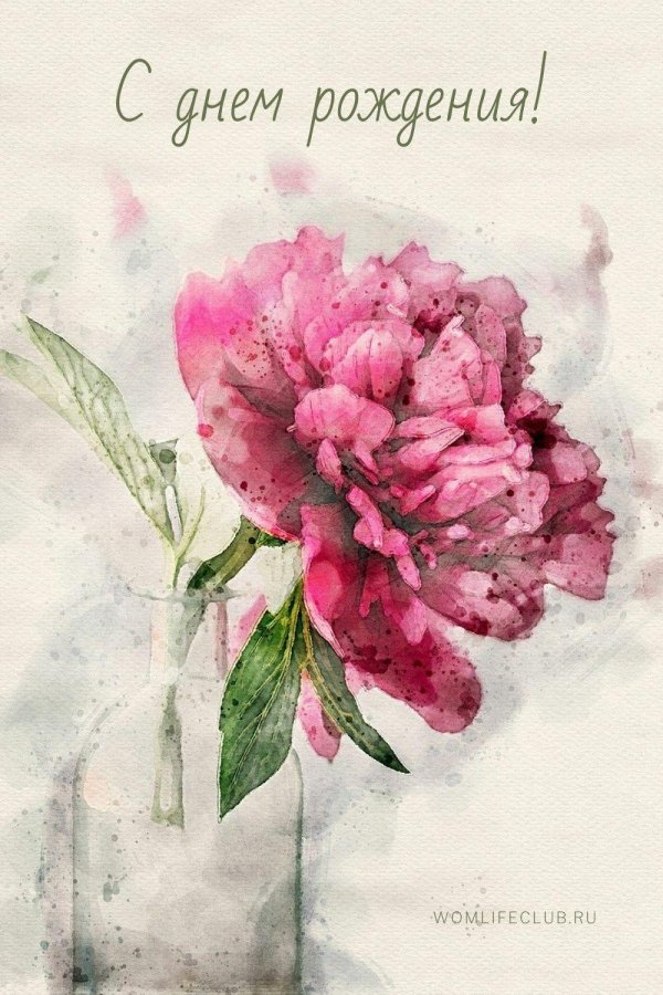 пион рисунок акварелью