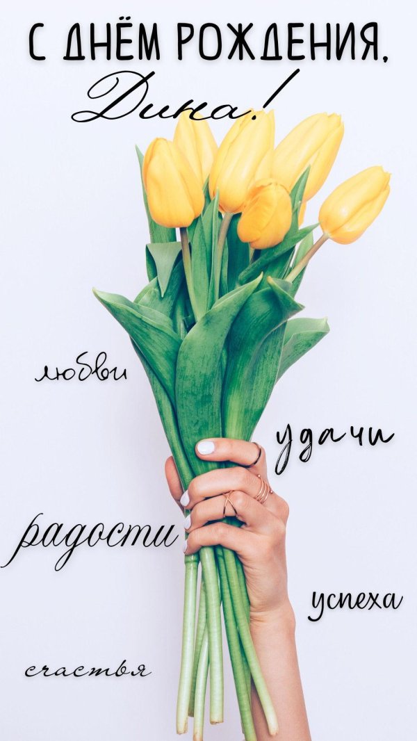 жëлтые тюльпаны