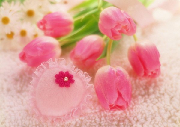 цветок тюльпан