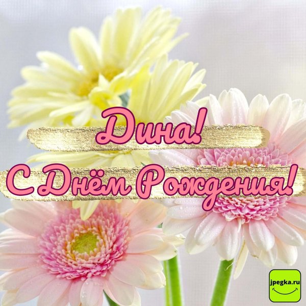 поздравление с днём рождения дина