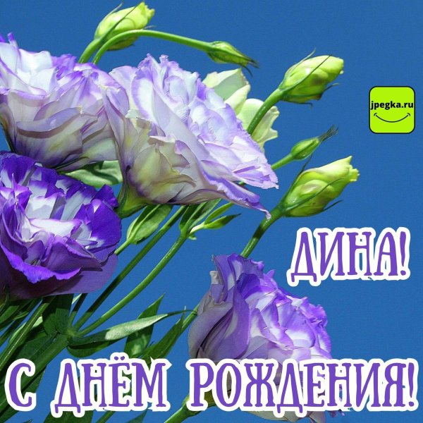 Дина с днем рождения
