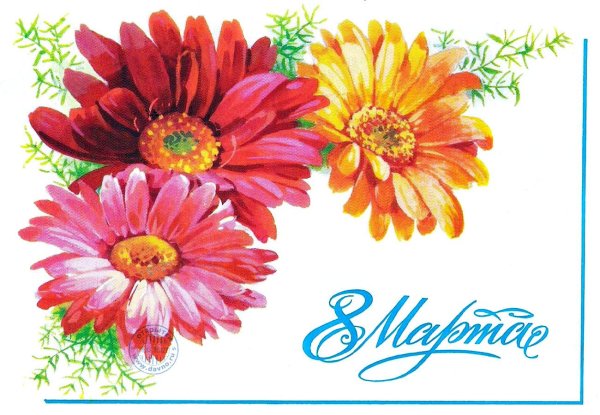 герберы открытка