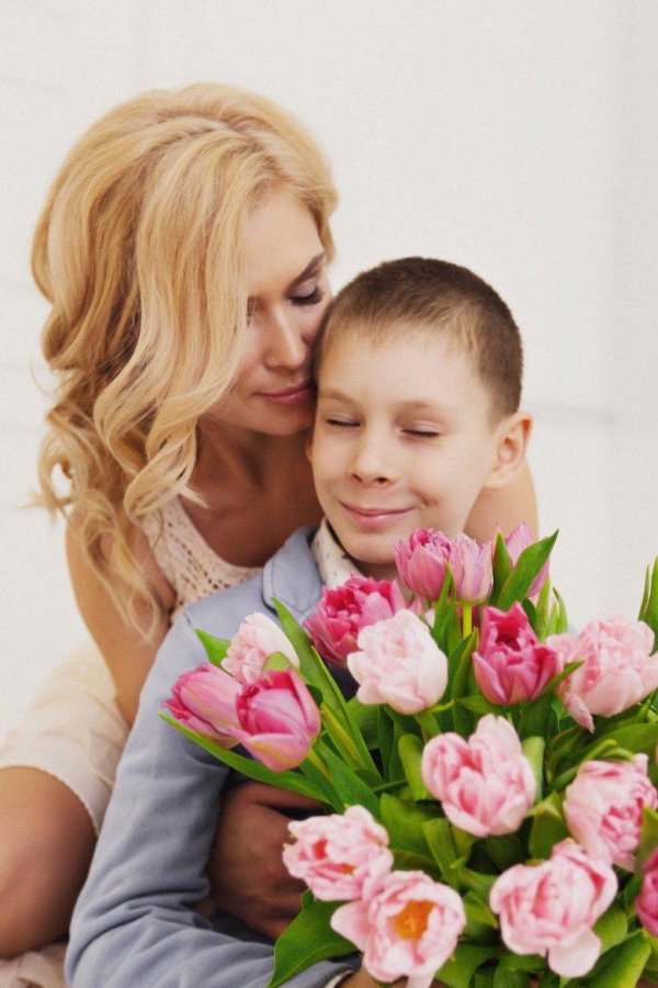 тюльпан анжелика tulipa angelique