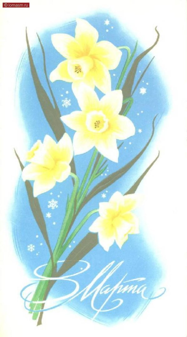8 марта нарциссы