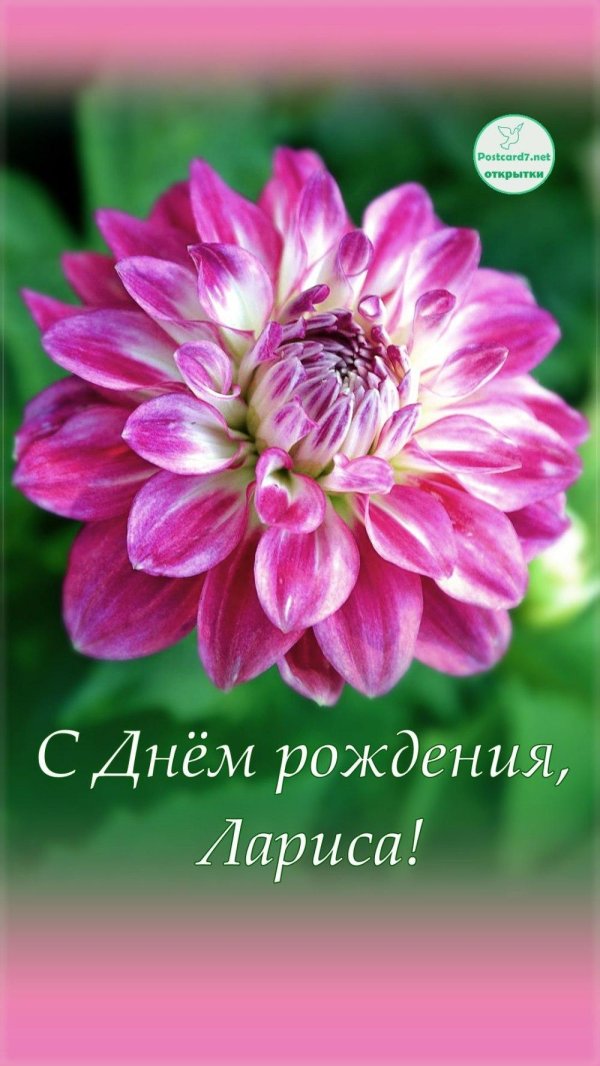 поздравление с днем рождения лариса