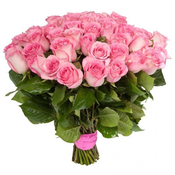 роза пинк аква