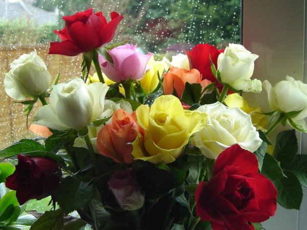 открытка красивая цветы