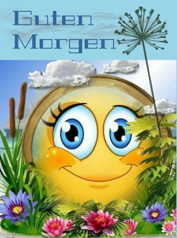 guten morgen sonnenschein