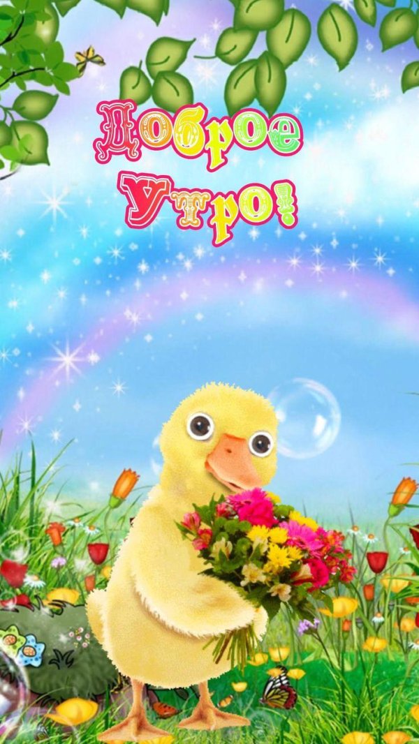 поздравительная открытка