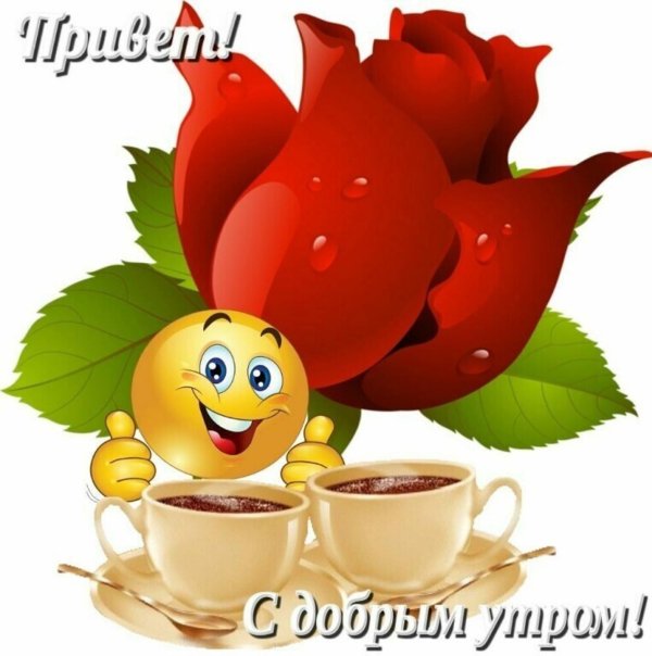 открытки с добрым утром прикольные