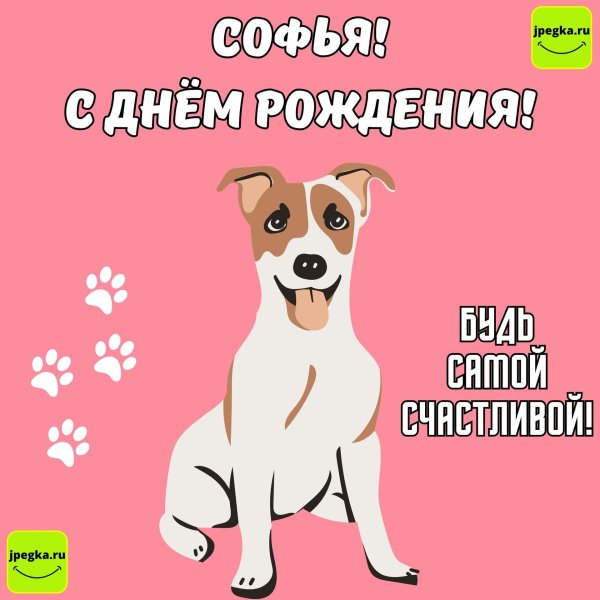 с днем рождения танюша собаки