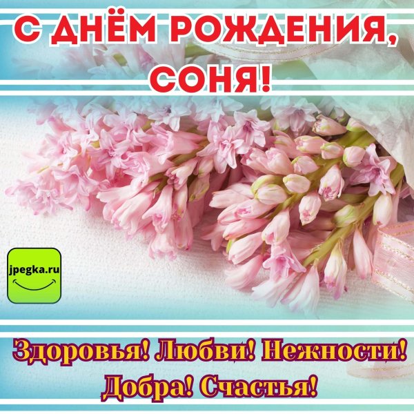 с днём рождения соня красивые поздравления