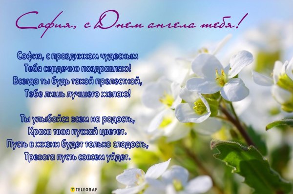 день ангела софии