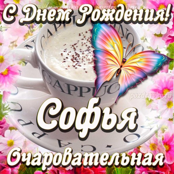 день рождения софии