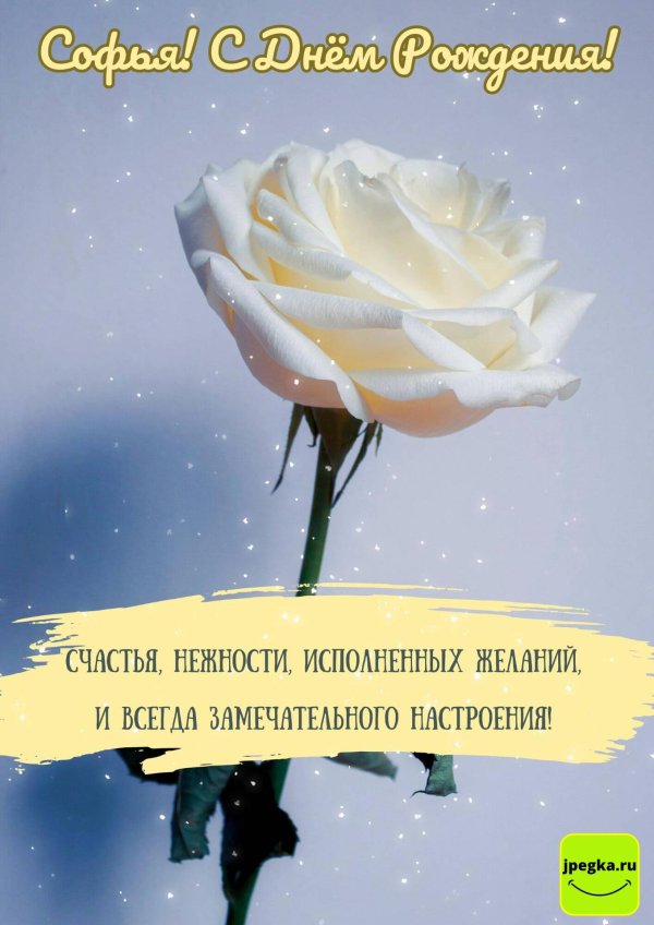 поздравительная открытка