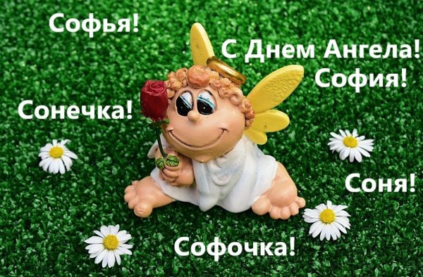 именины софии