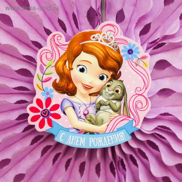 софия маленькая принцесса