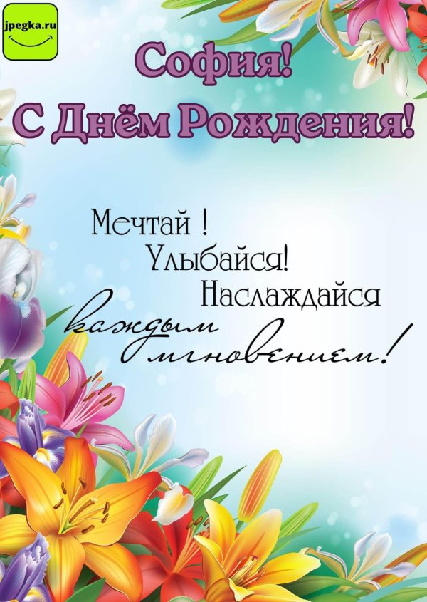 с днем рождения софии