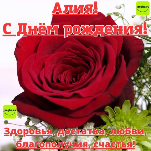 с днём рождения алия поздравления