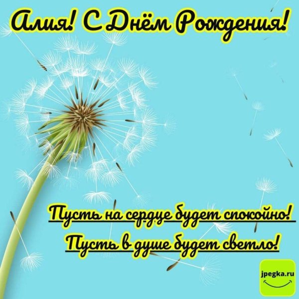 белые одуванчики