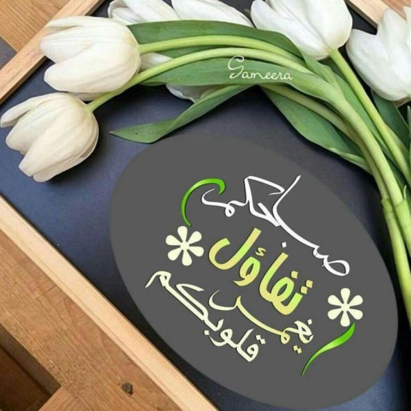 добрый день на арабском языке