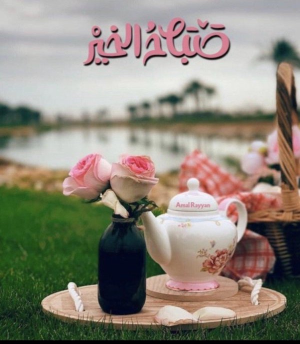 летний пикник