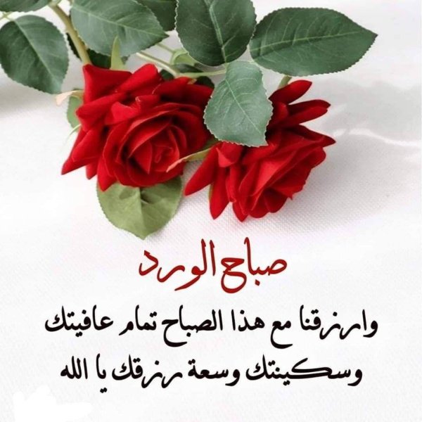 цветок красивый