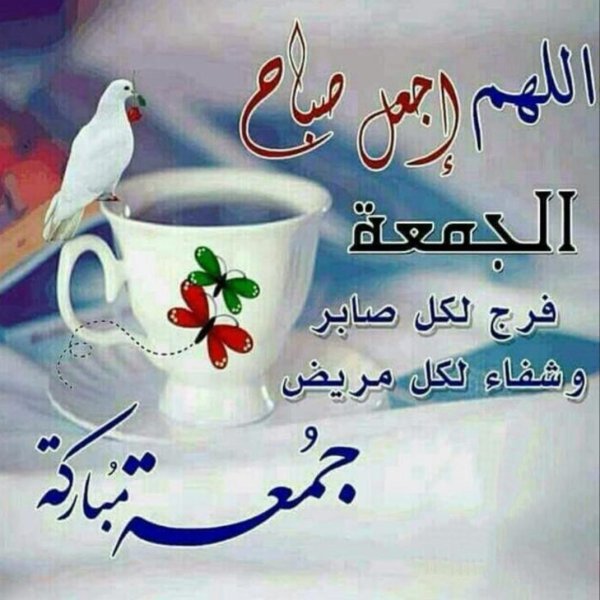 مساء الخير عليكم jhgfgjihfefn