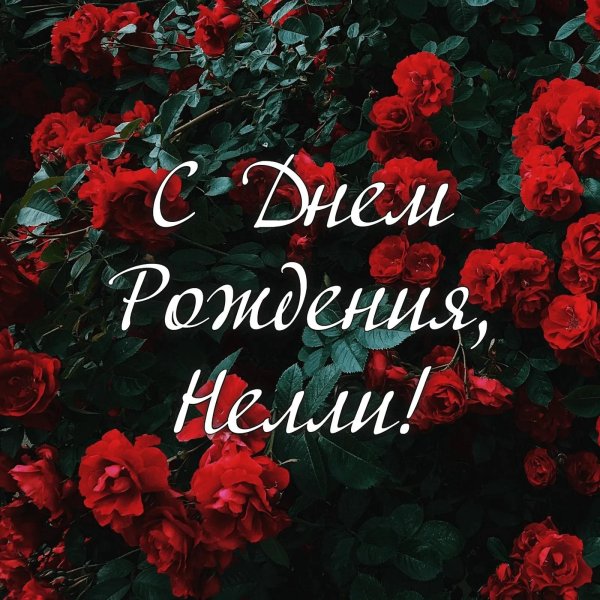 открытка нелли