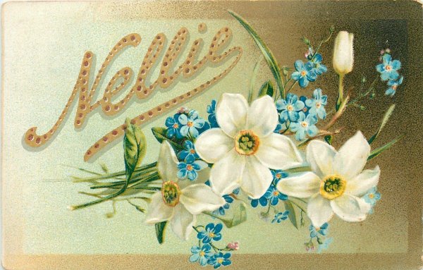 катарина кляйн незабудки