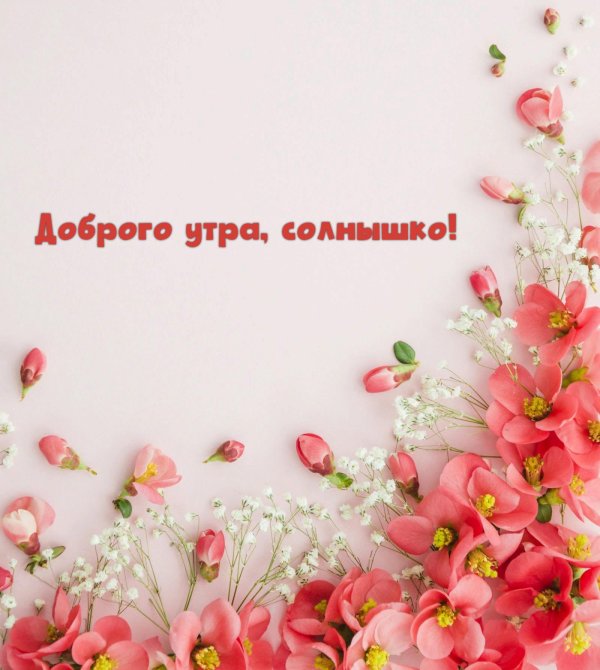 цветочные обои