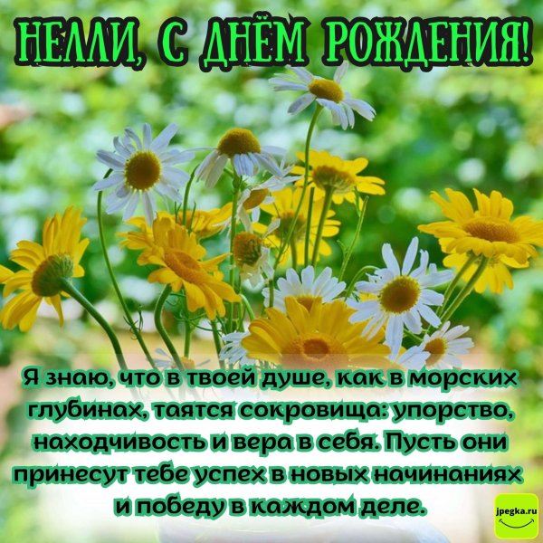 цветок полевой